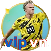 vipvn