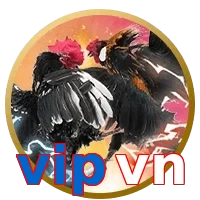 vipvn